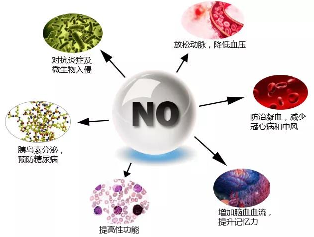 向心腦血管疾病說no一氧化氮還有這種操作