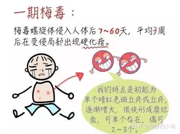 健康科普 | 一文读懂梅毒 - 知乎
