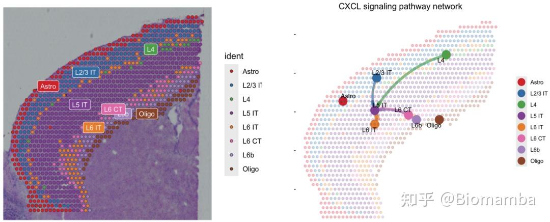 《Nature》空间转录组综述 - 知乎