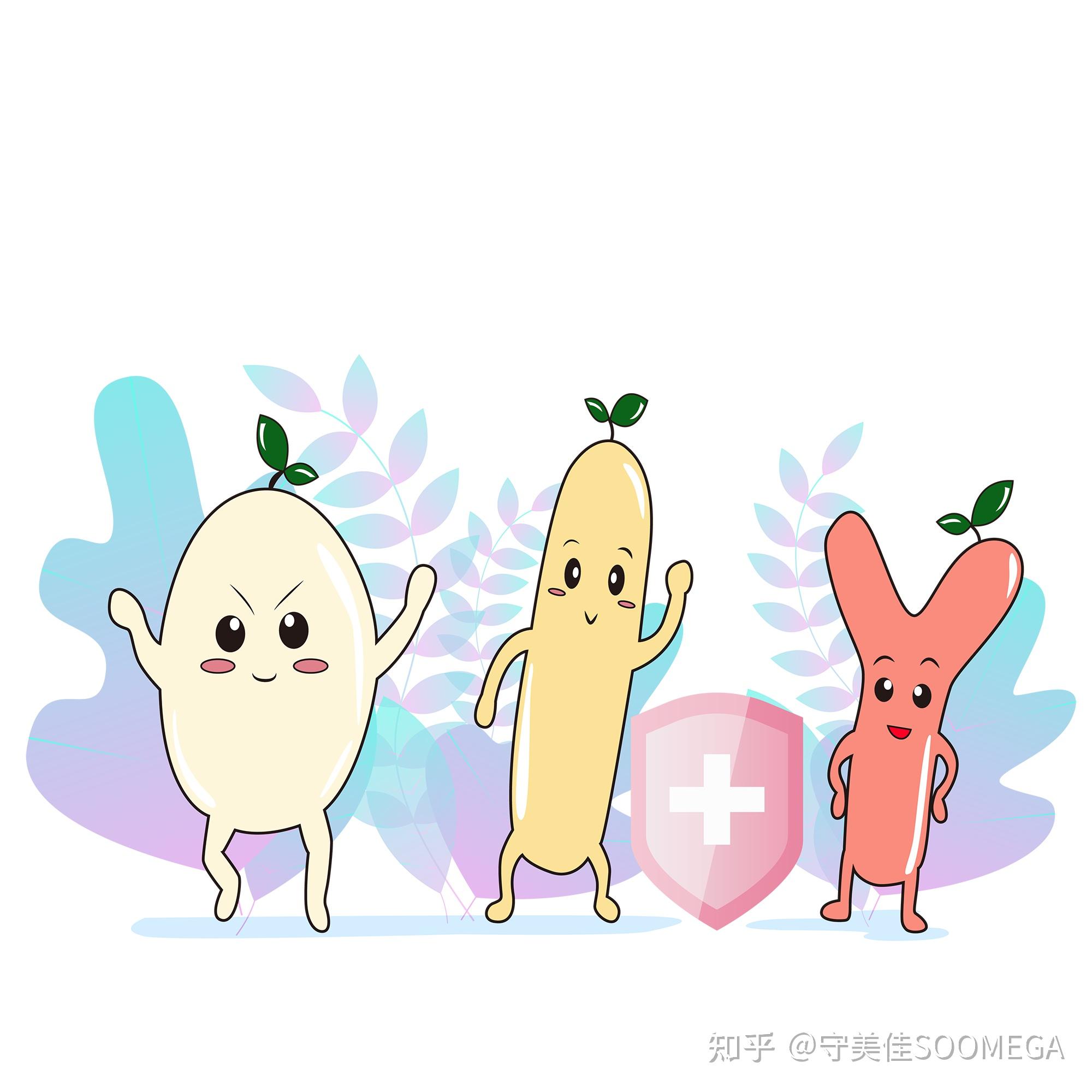 怎么选择益生菌找到适合自己体质需求的