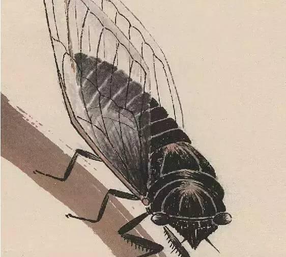 名家赏析｜齐白石草虫画，小生命，大境界！