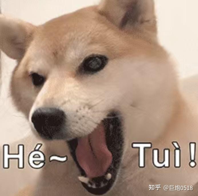 关于所谓锯齿兽和小太阳分析