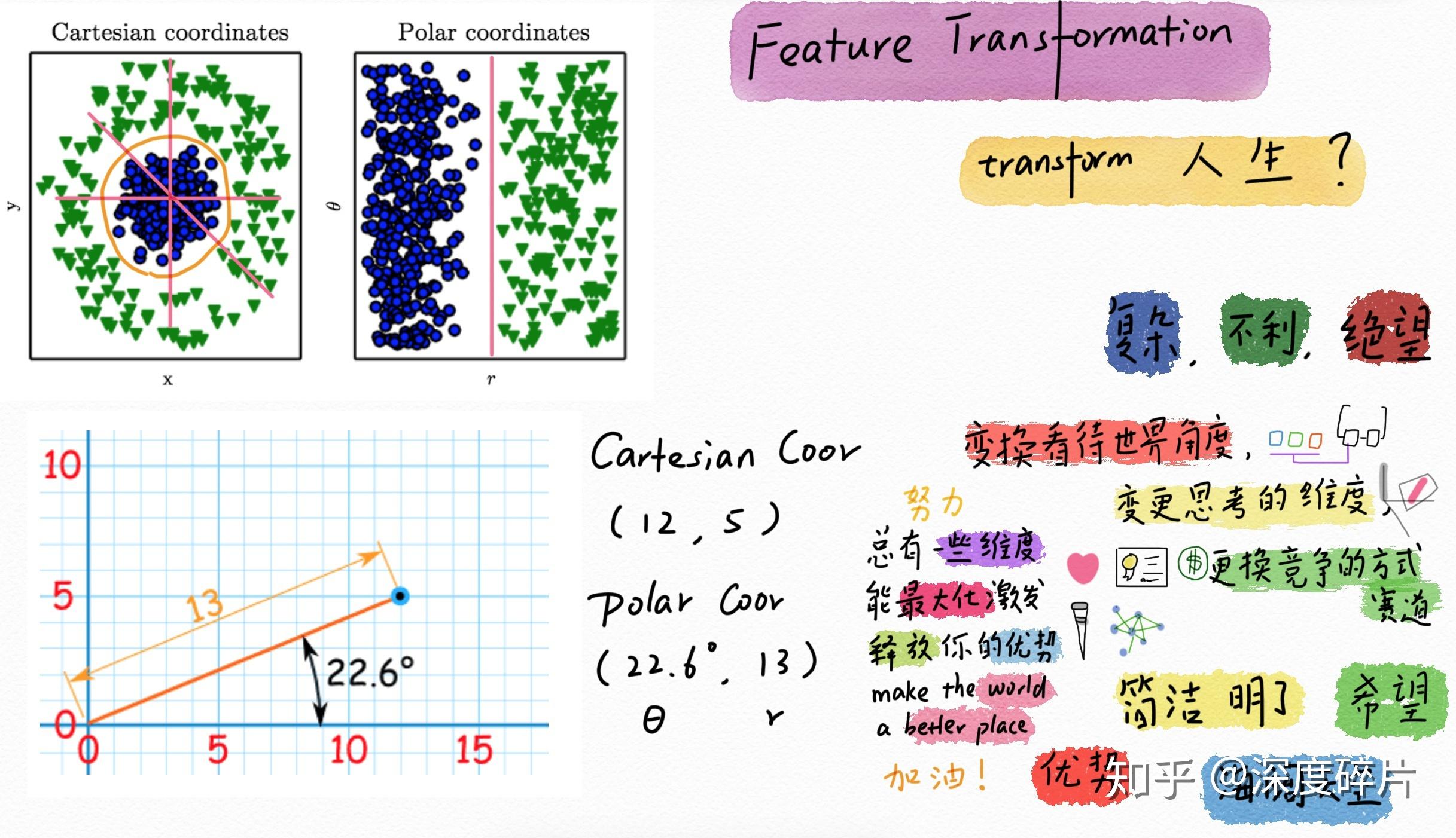 什么是数学原理_五年级数学手抄报