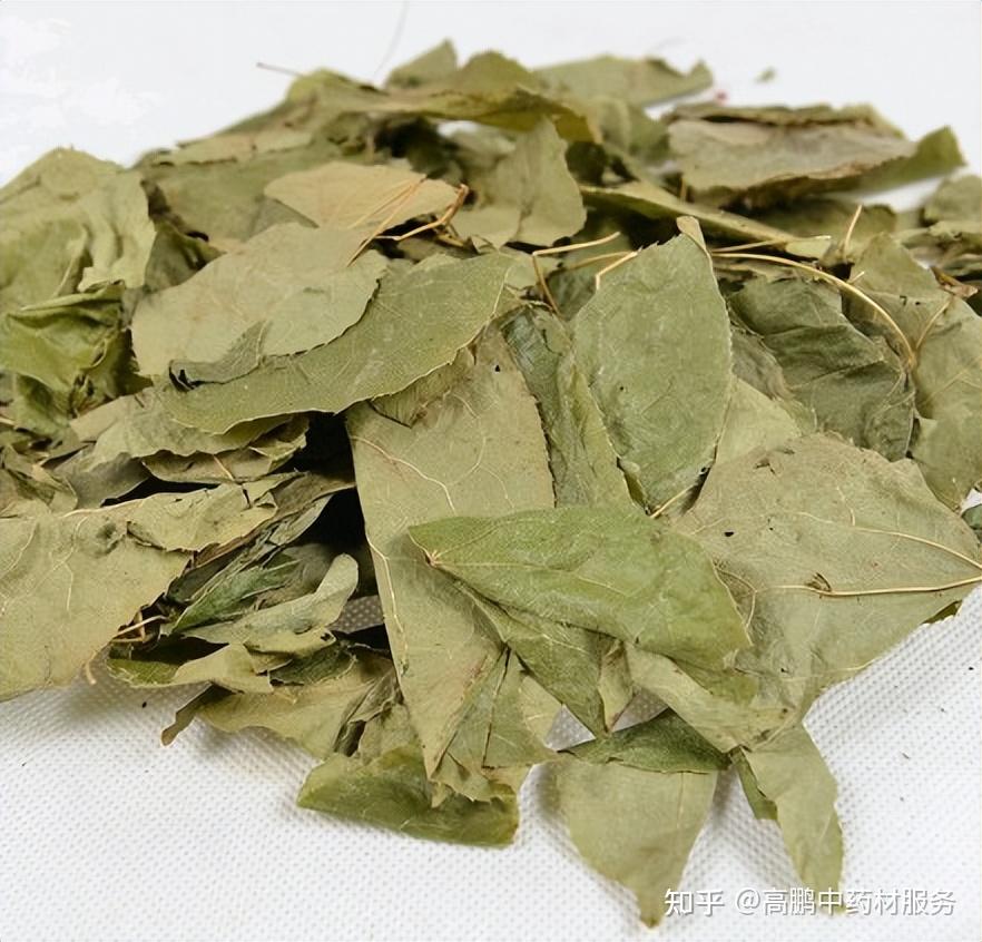 高鹏说药材热点品种淫羊藿近期行情走势简析