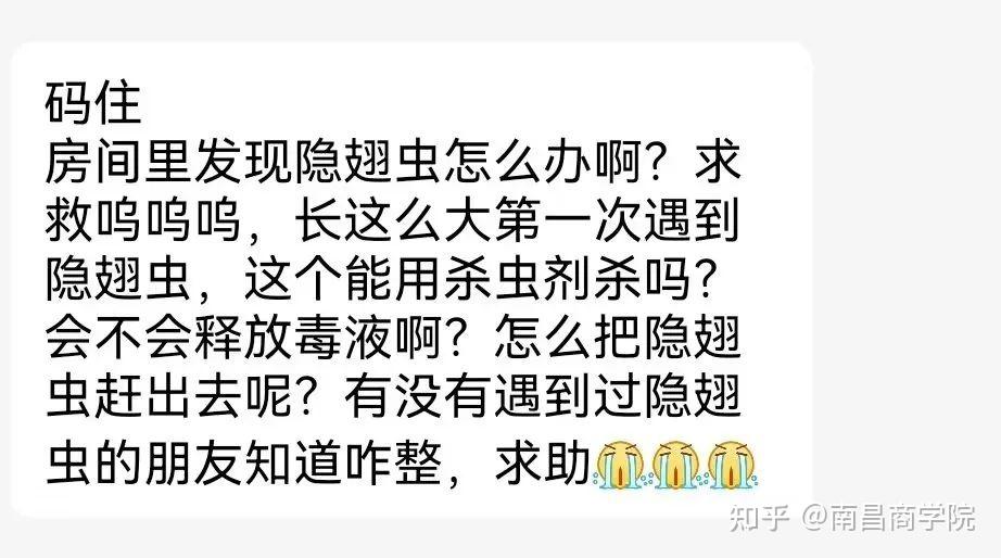 短信接码平台注册qq号有风险吗知乎