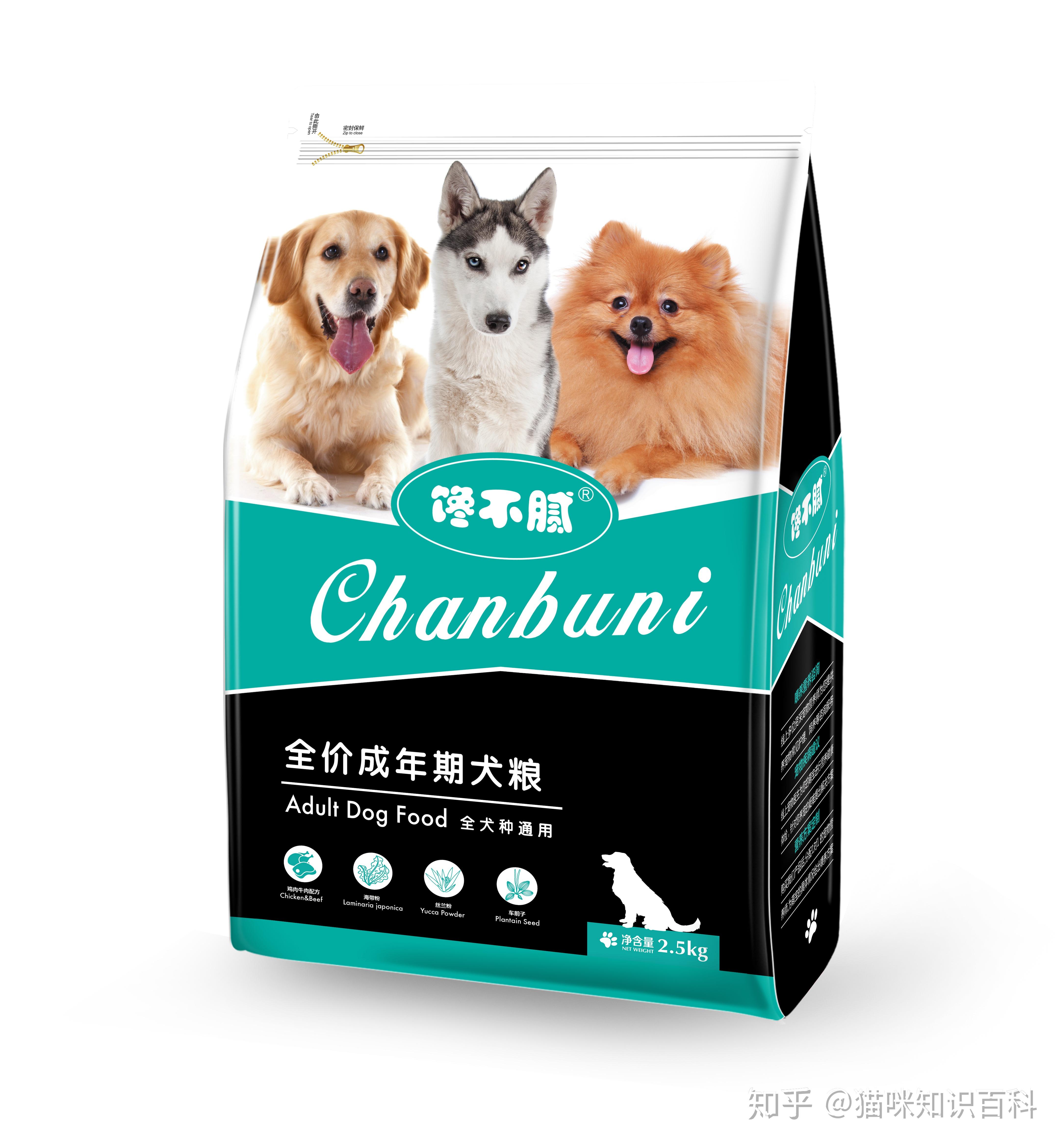 猫咪吃什么猫粮长肉推荐 v2-9b072f990ad9bc65c9a90a78dce38f8d_r.jpg