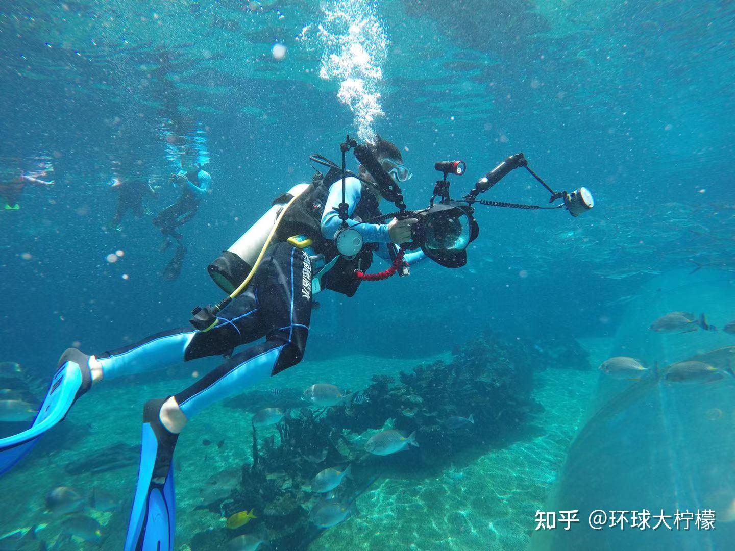 拍摄水下的小伙伴一定要会游泳才行哦,水下拍摄相对来说难度系数较大