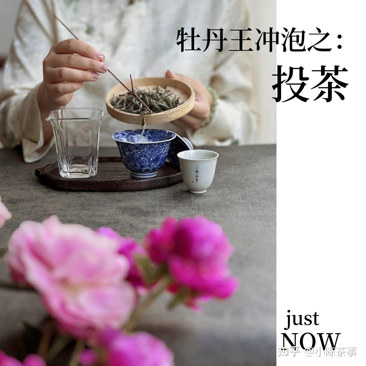 如何挽救发苦的茶汤？老茶客亲授的实用方法，轻松喝出好茶汤 - 知乎
