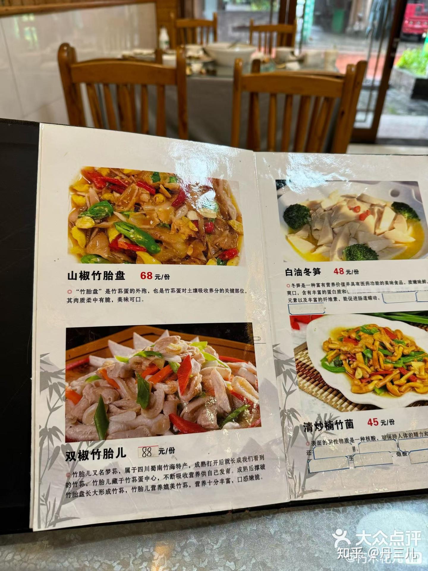 竹菌 - 知乎