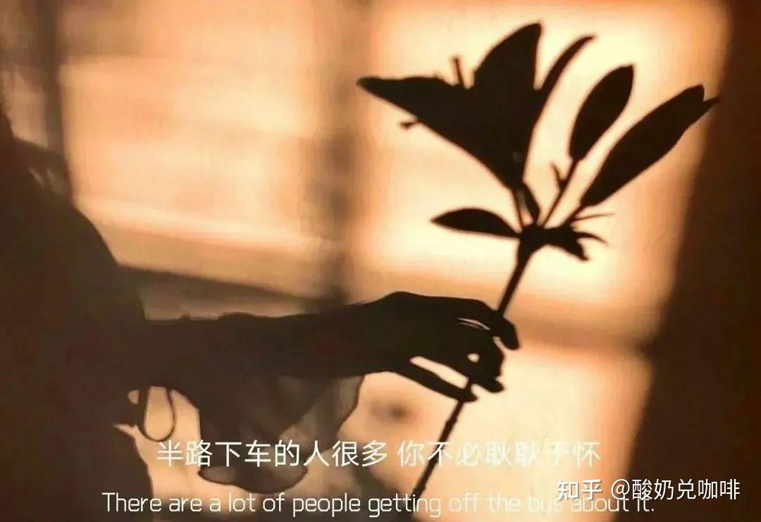 v2-9b2becc3a0c2da955984d7f405455d3d_r.jpg