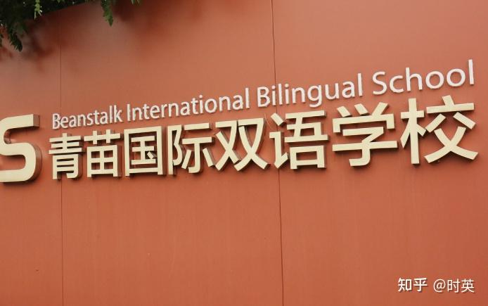 青苗国际双语学校校徽图片