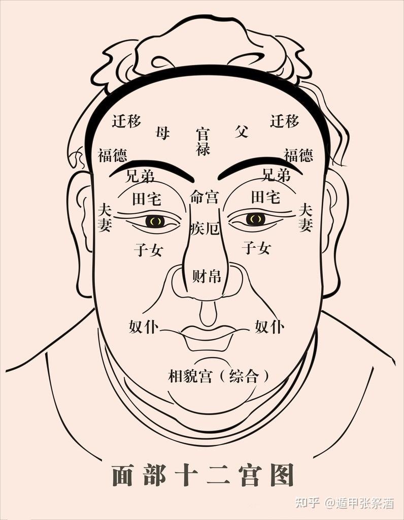 面相八字脸图片