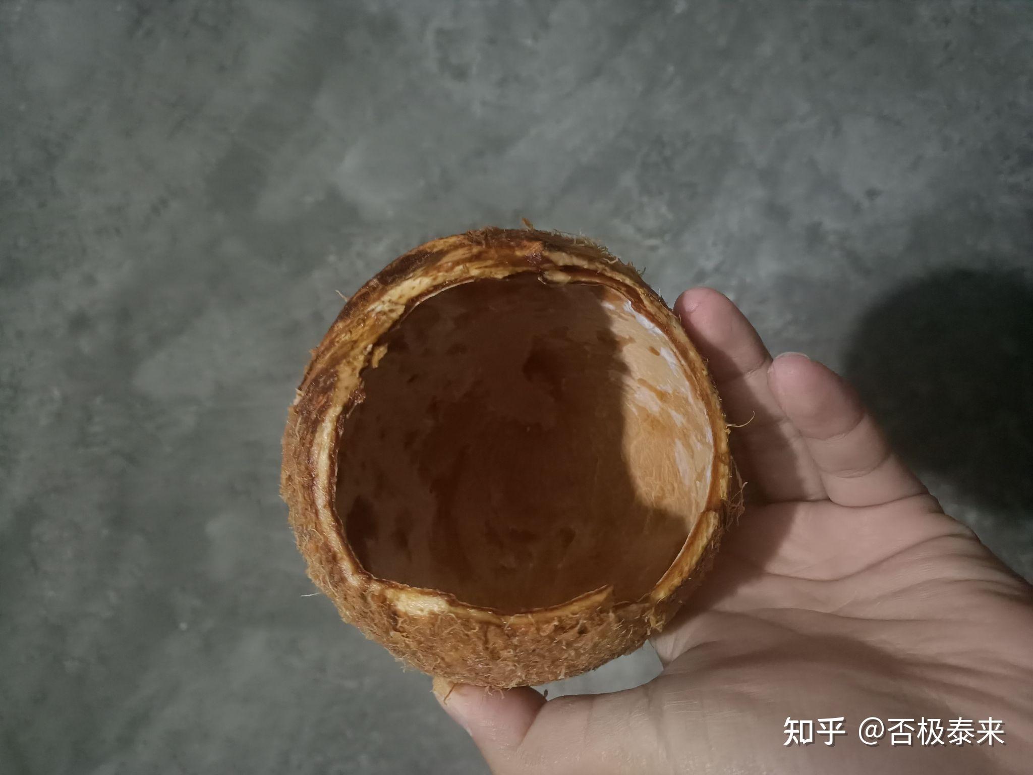 椰宝历险记 - 知乎