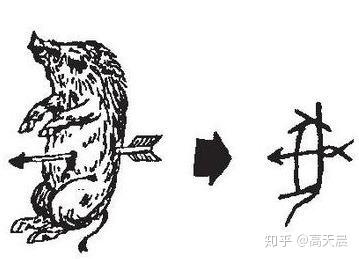 “猪”与“家”的汉字演变与文化内涵 - 知乎