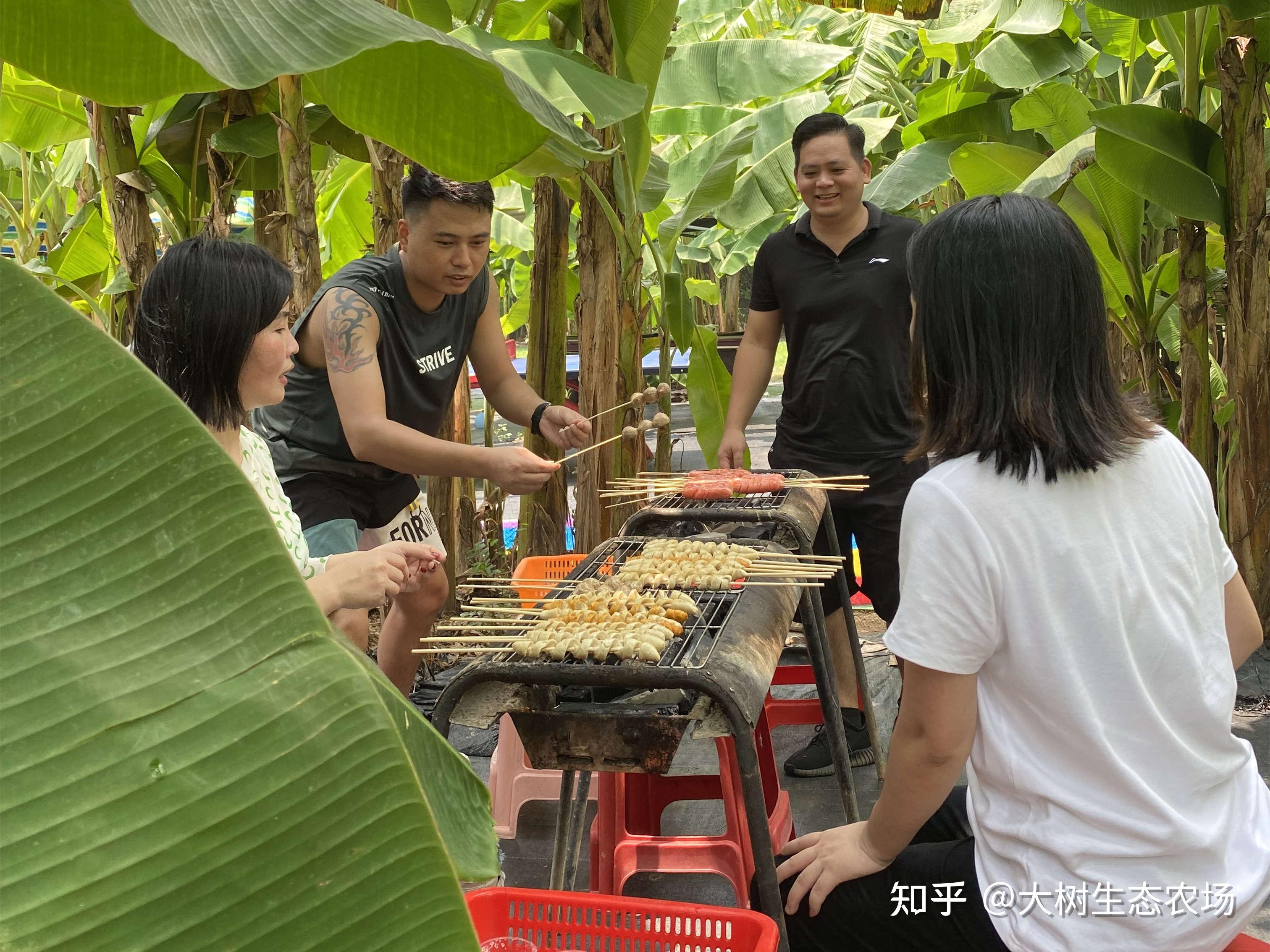 宝安石岩大树农场/公司团建/家庭聚会 - 知乎