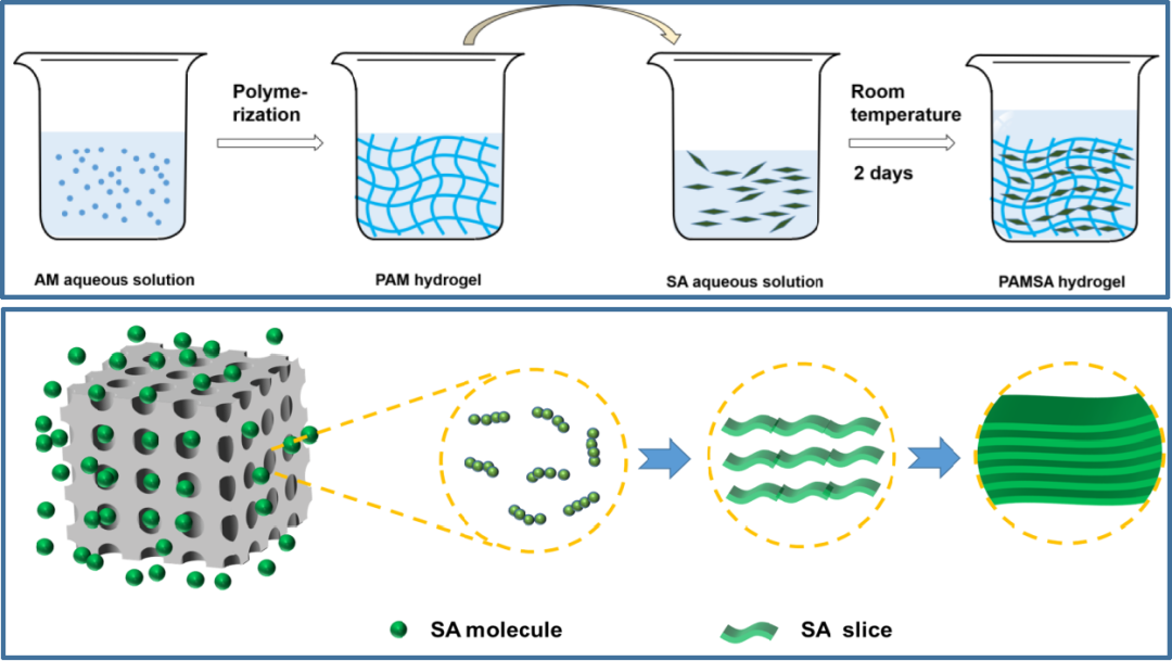 北理工高分子顶刊发文:自愈合高强度水凝胶重要进展! - 知乎