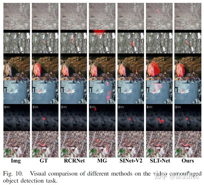 Go Closer to See Better: COD via Object Area Amplification and Figure ...