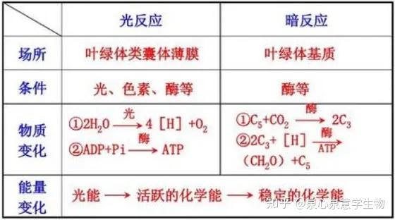 新教材答案 光合作用的原理和应用 知乎