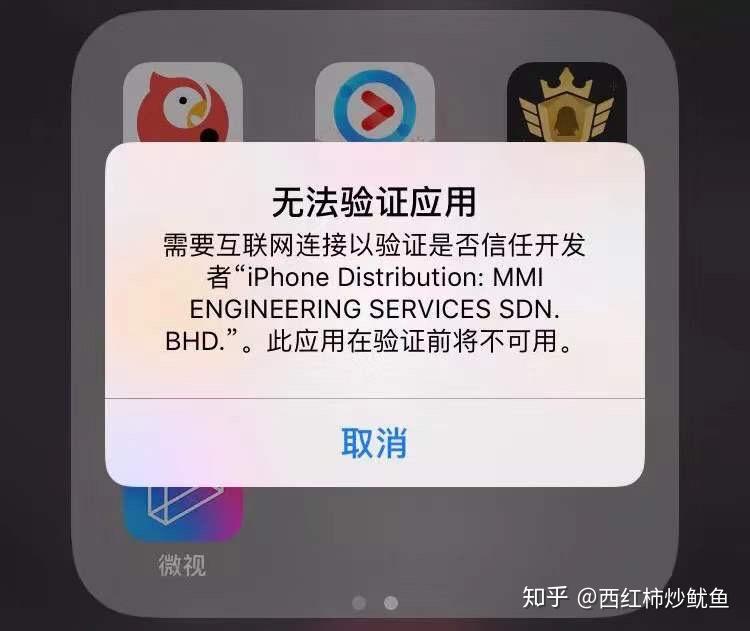 苹果购买记录无法打开应用程序什么意思
