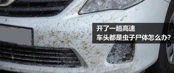 开了一趟高速 车身都是虫子尸体怎么办 隐形车衣能预防吗 知乎 开了一趟高速 车身都是虫子尸体怎么办 隐形车衣能预防吗 知乎