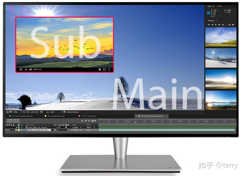  lcd monitor pip pbp 