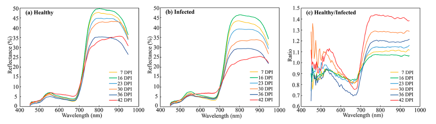 植物表型资讯|基于无人机的高光谱技术检测小麦黄锈病 - 知乎