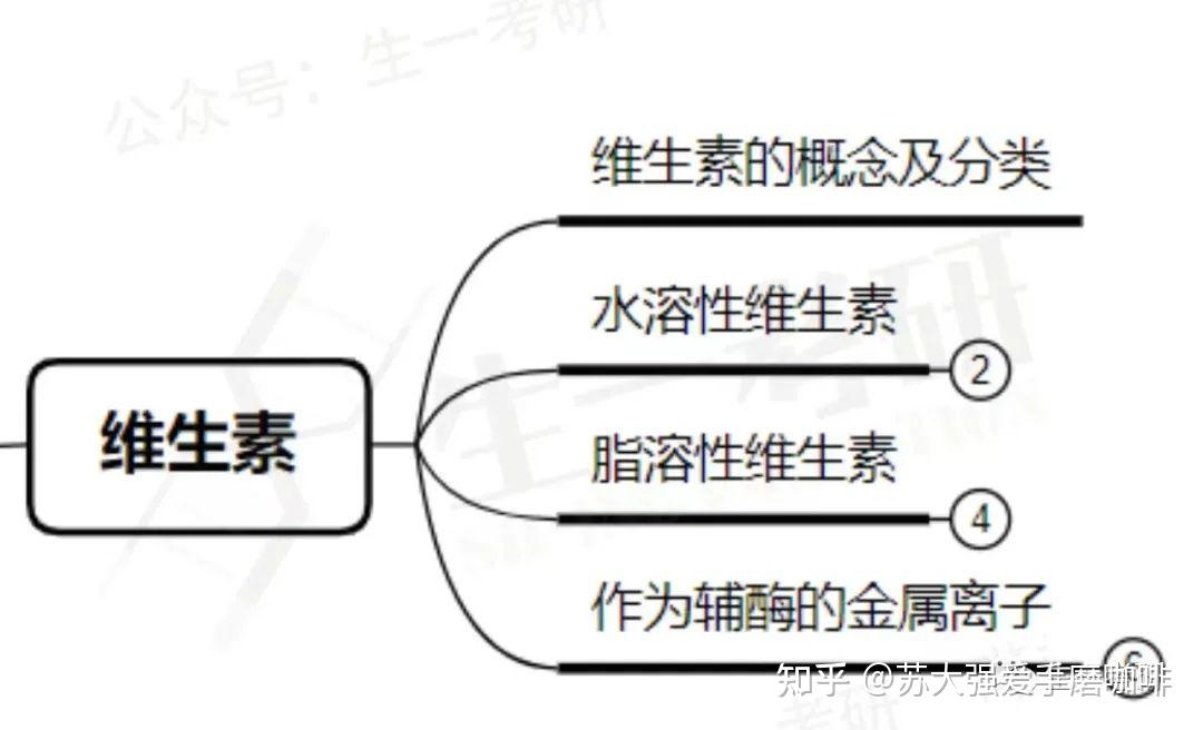 生物化学思维导图