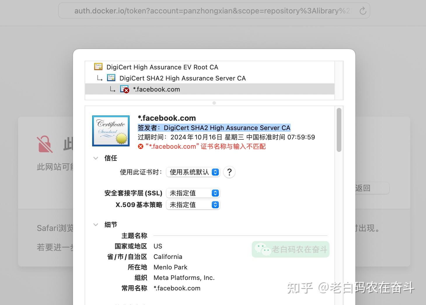 Docker Hub Compose docker hub compose