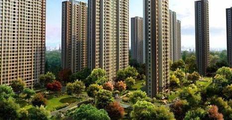香港人均住房面积_香港住房惨状图片