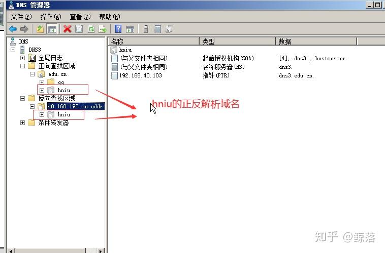 Windows server DNS服务器配置与管理
