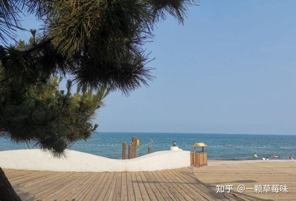 超详细日照旅游攻略I速速和朋友一起看海 - 知乎