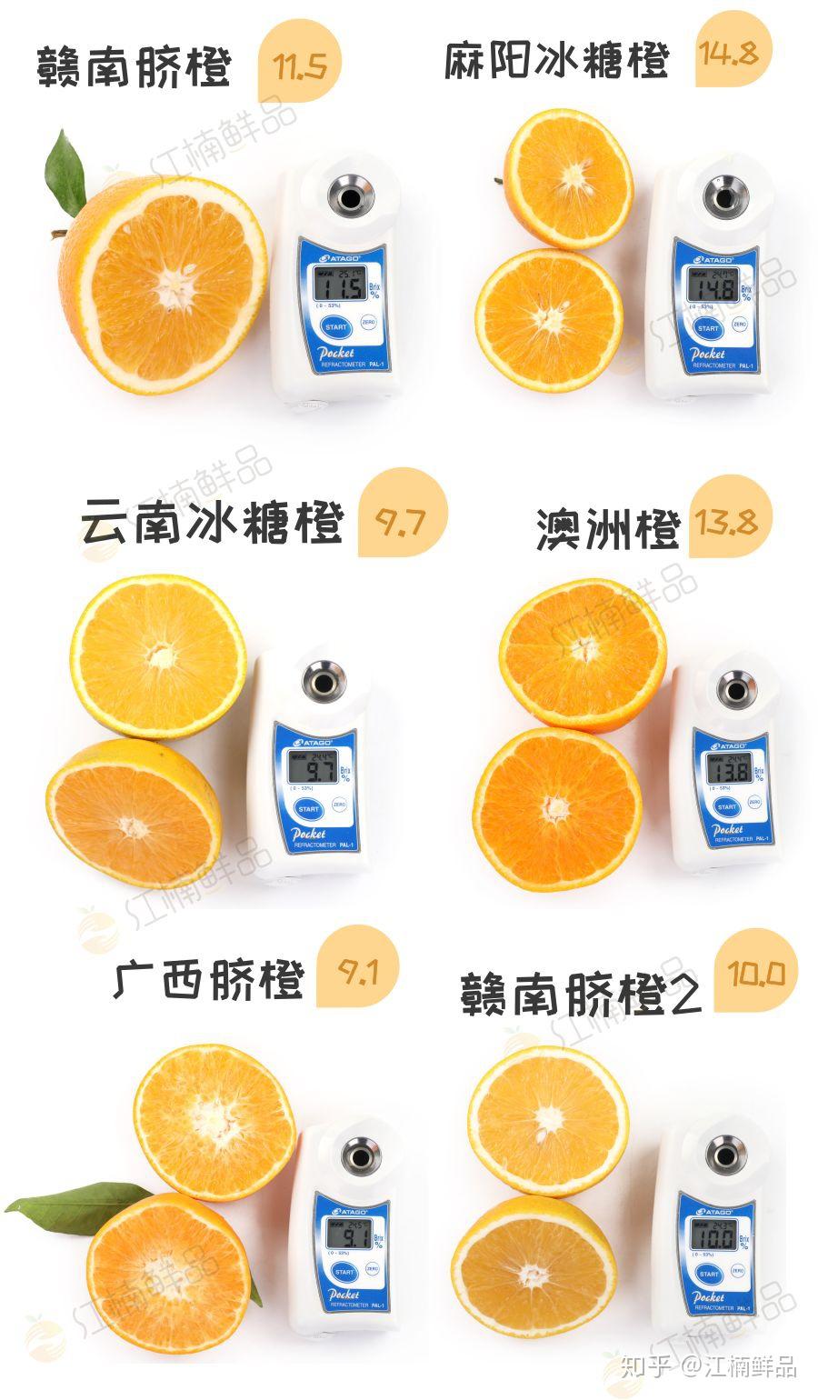 江楠鲜品实验室11种爆款橙子测评发布店铺陈列必备竟然是它