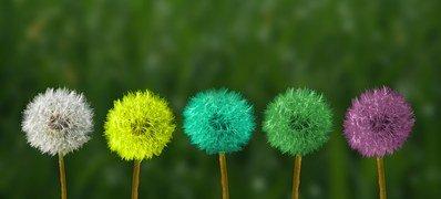 v2-9b9791dacb4c28c03d65d2b756393ae8_1440w.jpg?source=172ae18b