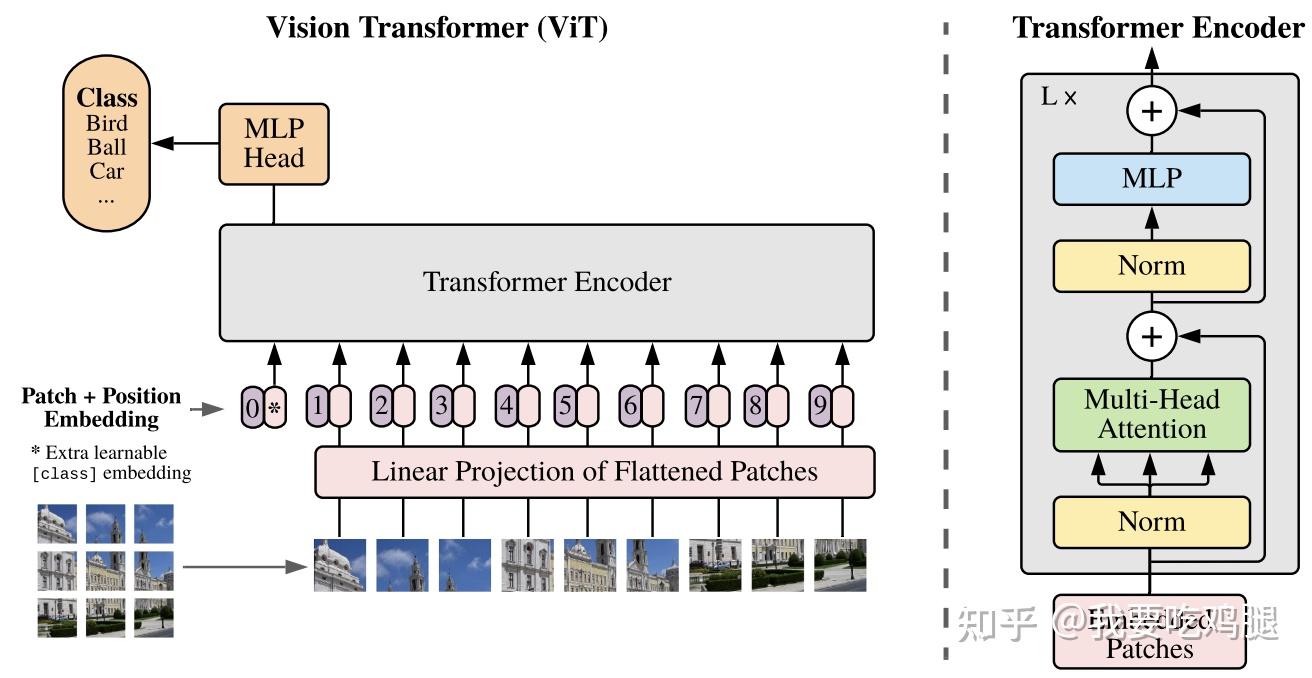 Vision Transformer (ViT) 架构概览