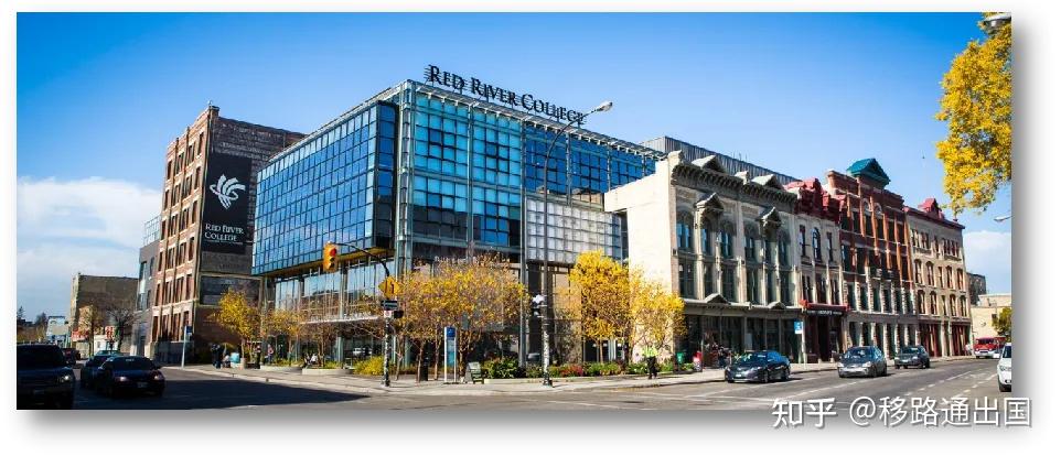 加拿大曼省留学就业移民速成攻略读书一年零门槛拿身份