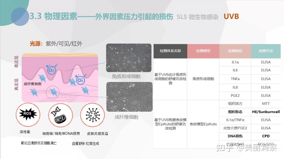 博溪生物日化最前線新規下舒緩功效產品宣稱的證據及思路