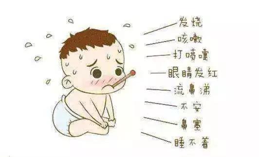 v2-9ba2b33cf8811d50a3896987965c16c1_1440w.jpg?source=172ae18b