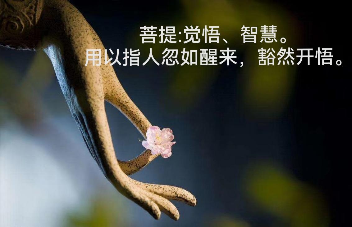 去除烦恼的关键就是掌握当下转迷为悟的契机,一念觉悟,当下就能转苦为