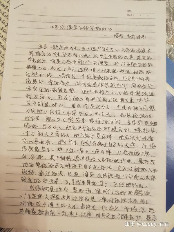 《当你像鸟飞往你的山》读后感