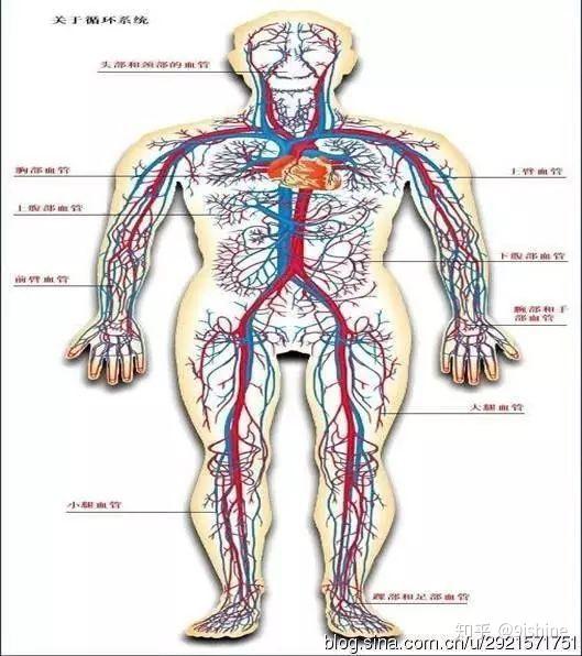 量子糾纏是如何影響你的身心靈健康的