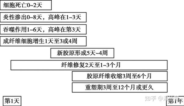 手功能早期康复干预 知乎