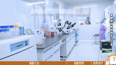 Ishikawa细胞培养,人子宫内膜腺癌细胞培养攻略 - 丰晖生物 - 知乎