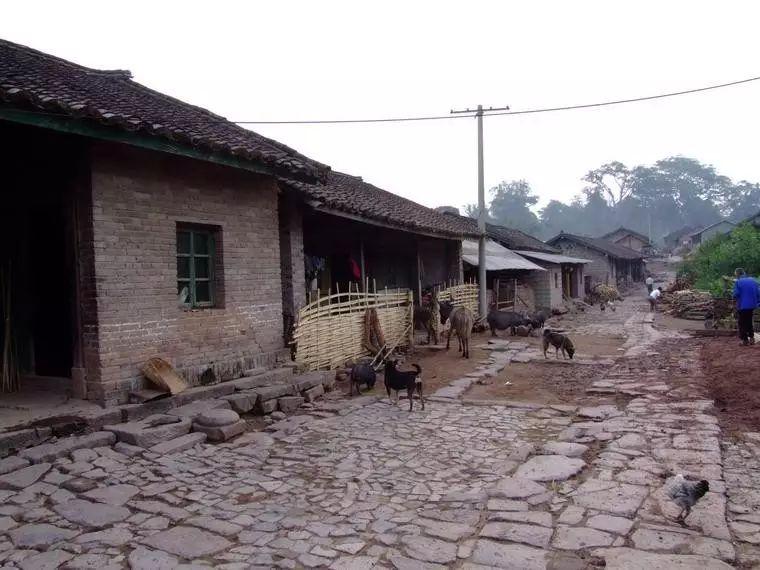 干货教室深挖曼松被忽悠惯了真实的曼松你能接受么