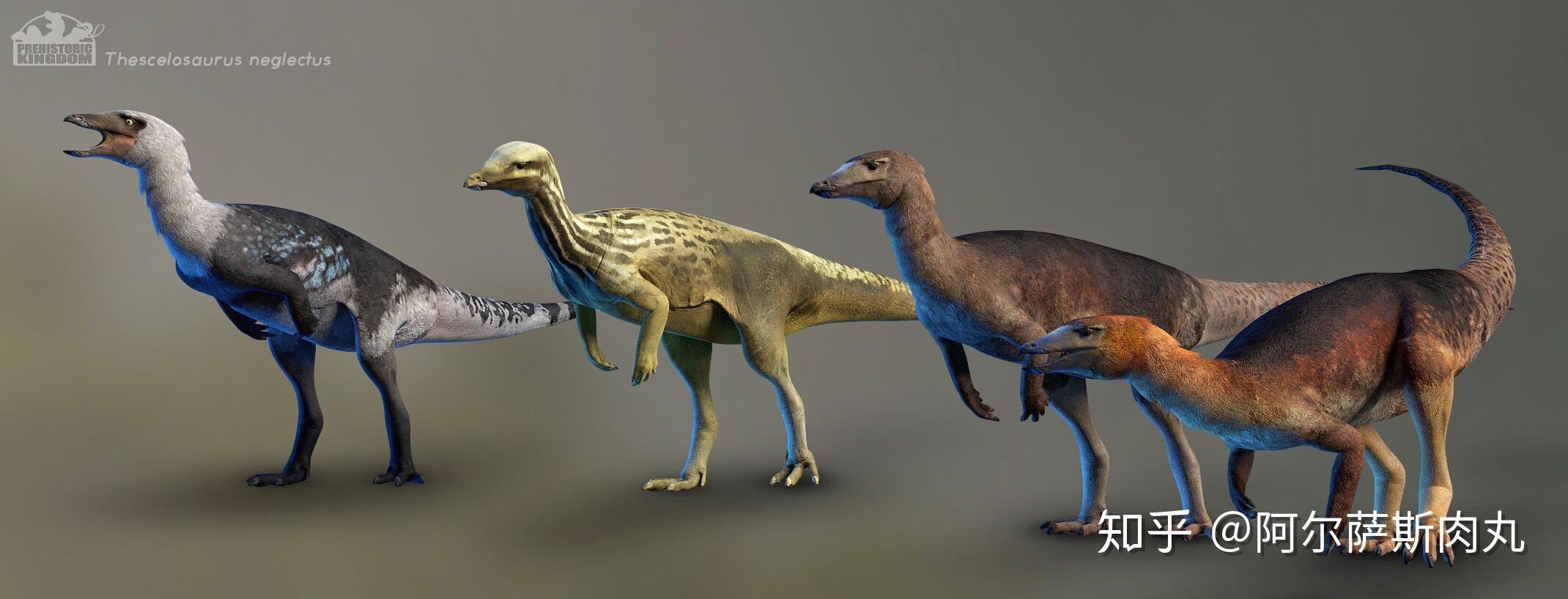 古生物学家在一块奇异龙肋骨的外侧发现了一些类似骨板结构存在的痕迹