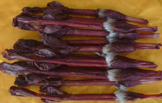 吉林辽源特产鹿鞭图文介绍