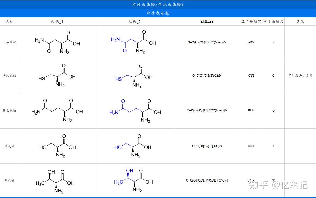 2 极性氨基酸