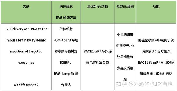 干货分享|脑神经靶向RVG修饰工程化外泌体应用 - 知乎