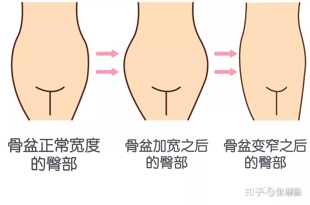 为什么大多数的女生都想练出翘臀