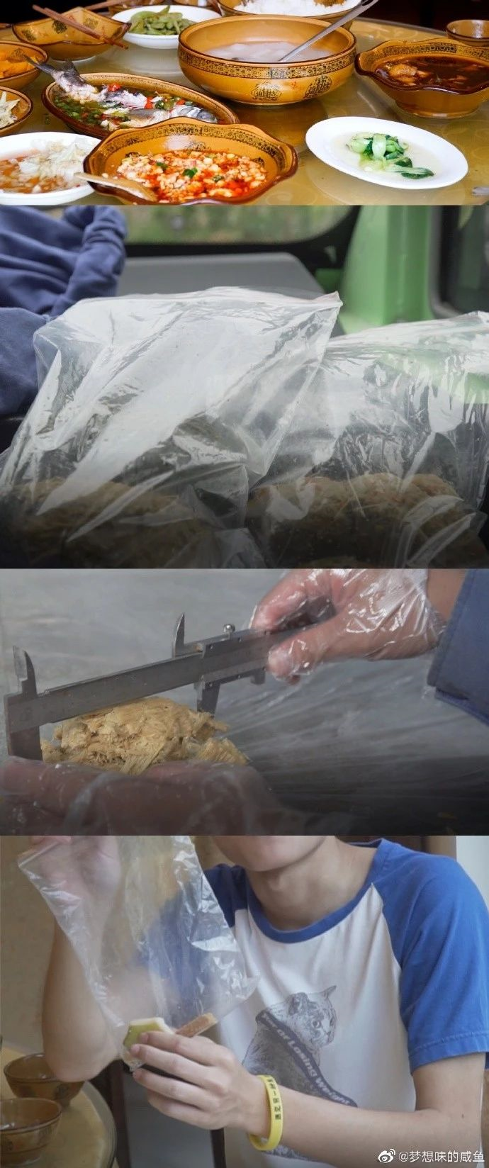 刺猬体验报告熊猫拉的屎它不香吗