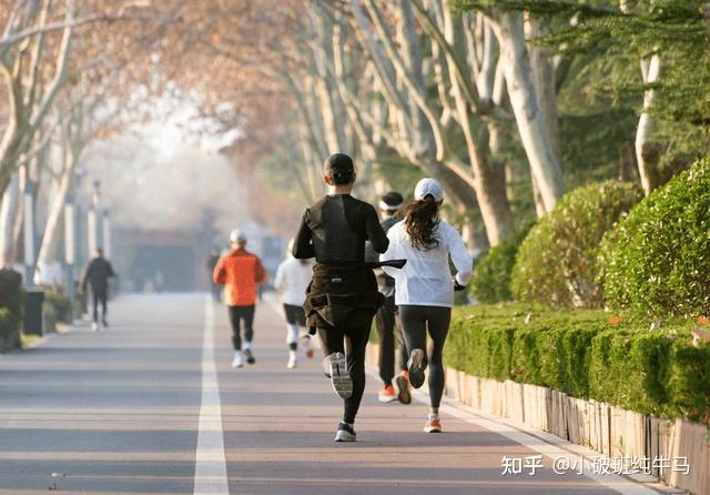 什么牌子的跑步耳机好用?十款热门跑步耳机锐评,看完不亏!